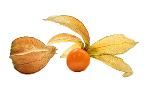 Фізалис (Physalis angulata)