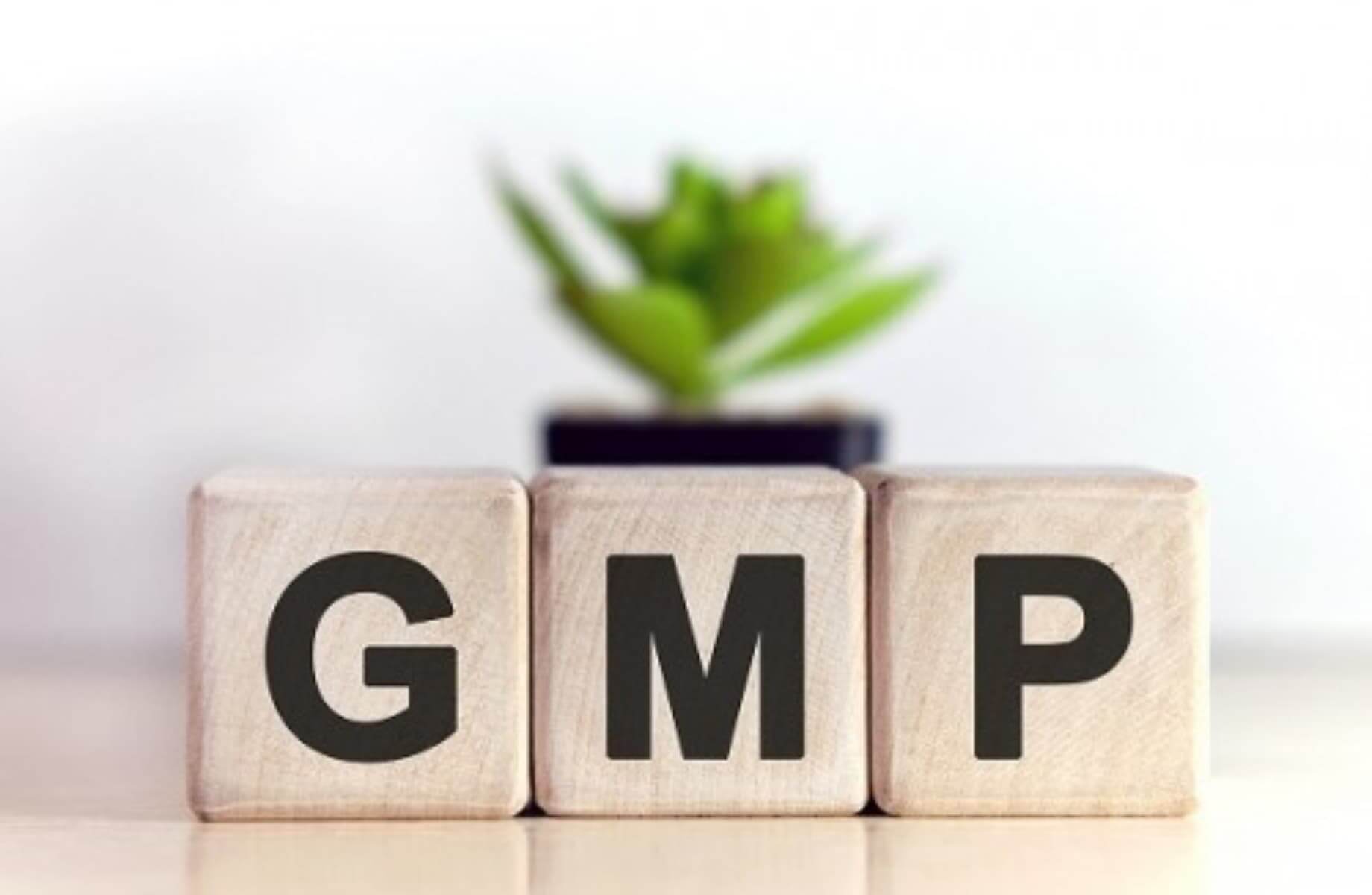сертифікат GMP